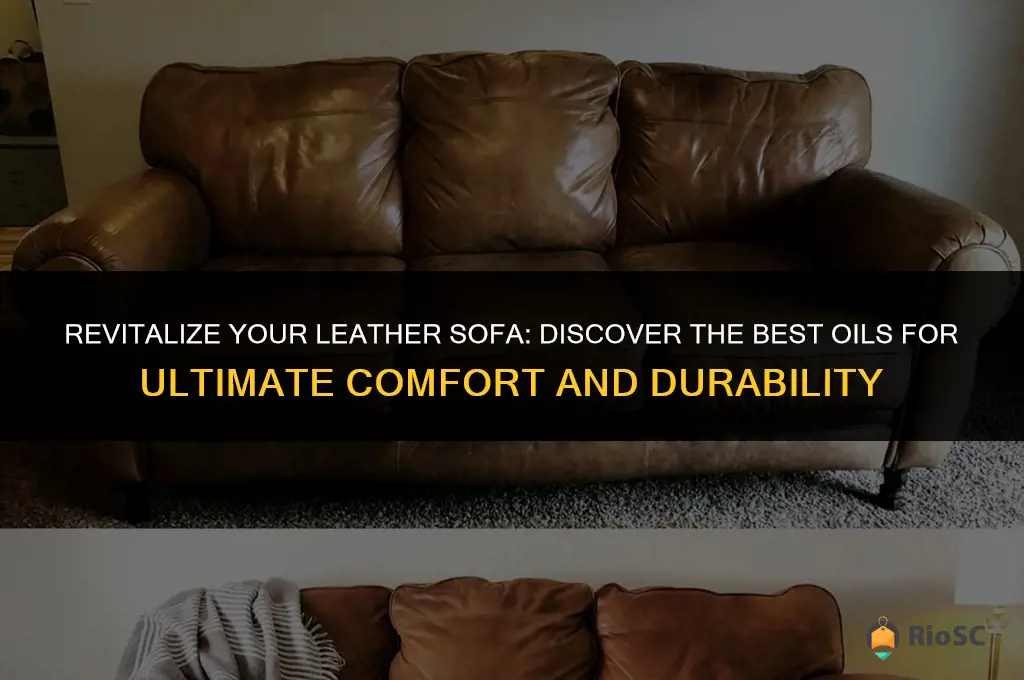 best leather sofa oil