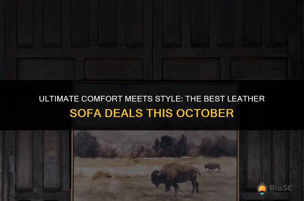 best leather sofa on sale conftober