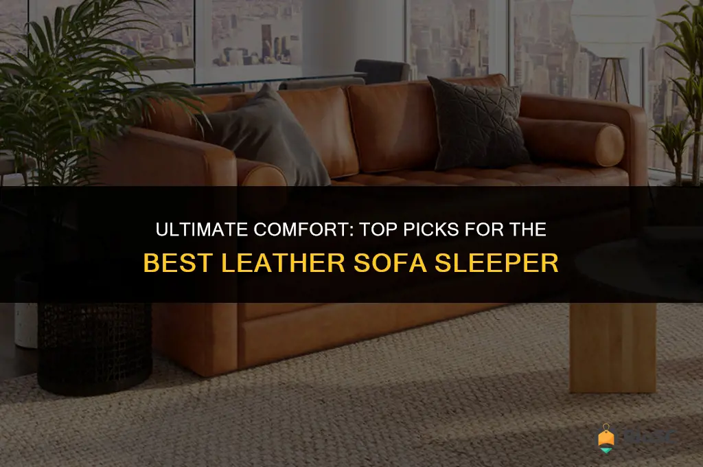 best leather sofa sleeper