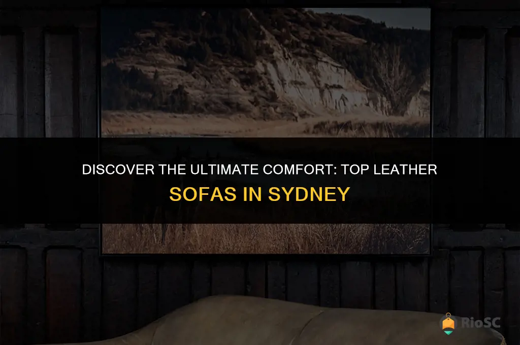 best leather sofa sydney