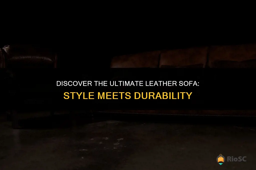 best leather sofa that won