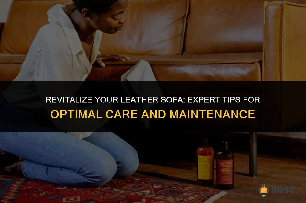 best leather sofa treatment