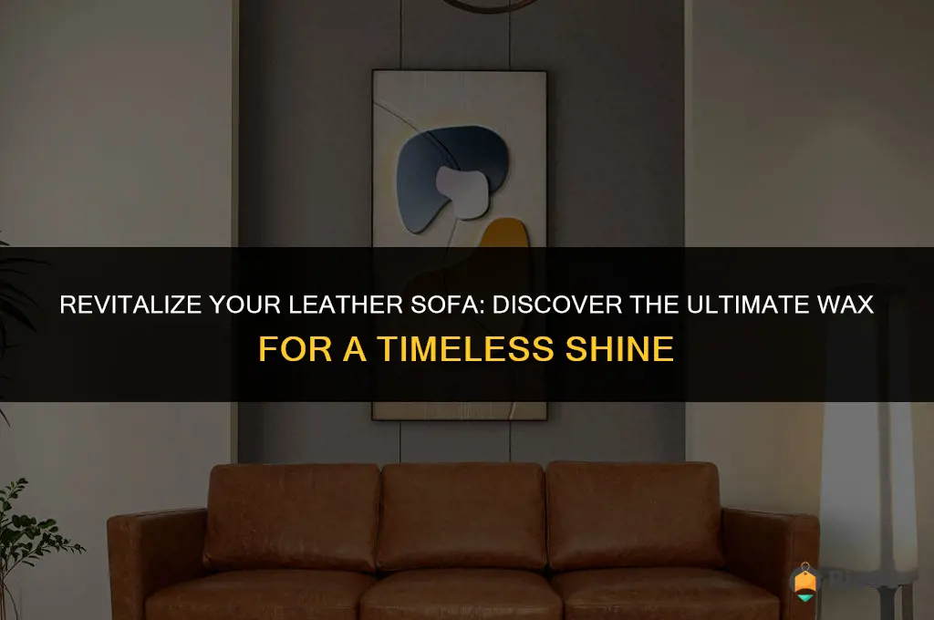 best leather sofa wax