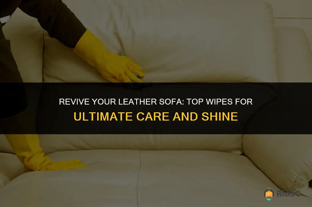 best leather sofa wipes