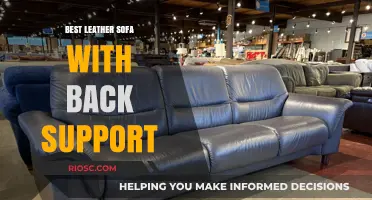 Ultimate Comfort: Top Leather Sofas for Enhanced Back Support
