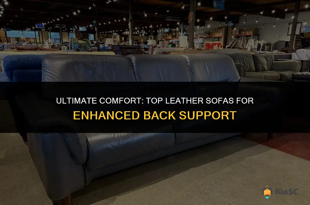 best leather sofa with back support