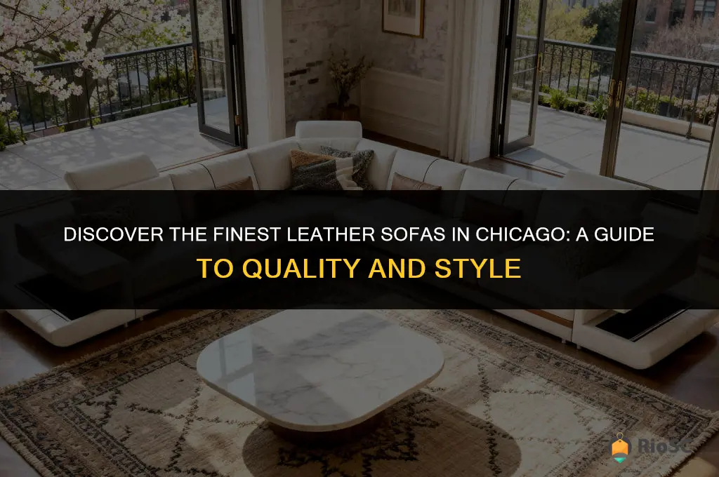 best leather sofas chicago