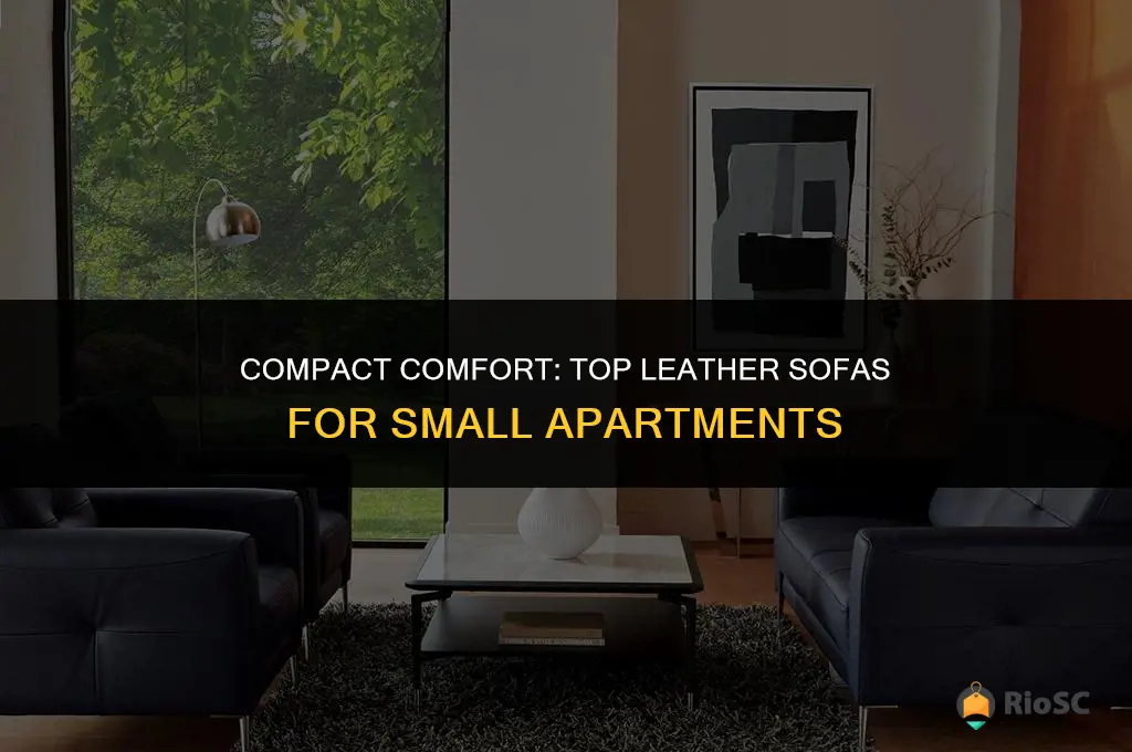 best leather sofas for small apartments