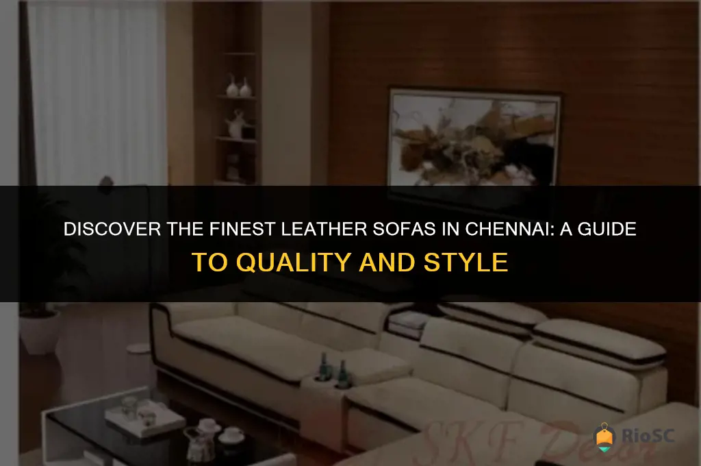 best leather sofas in chennai
