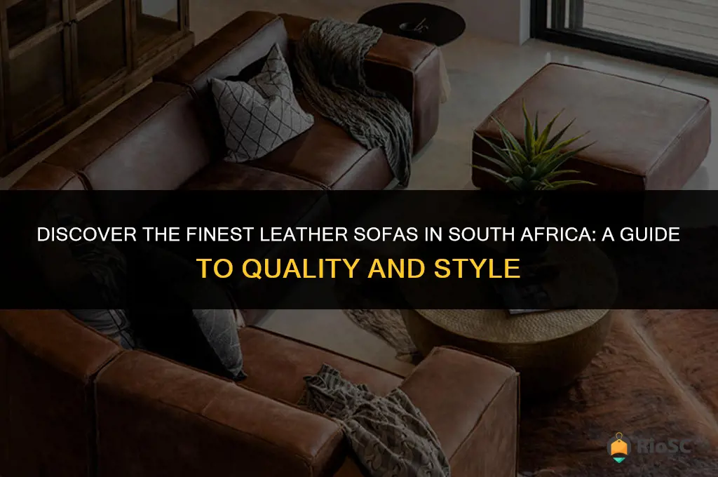 best leather sofas in south africa