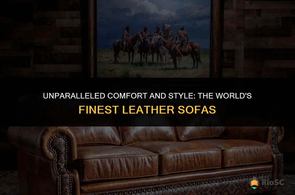 best leather sofas in the world