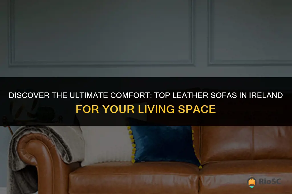 best leather sofas ireland