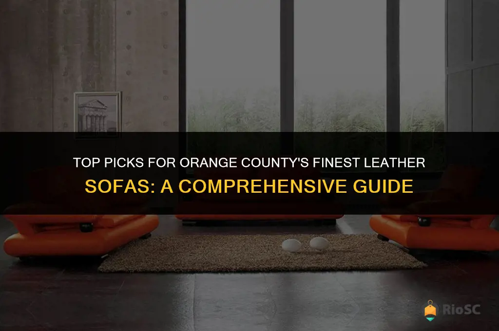best leather sofas orange count