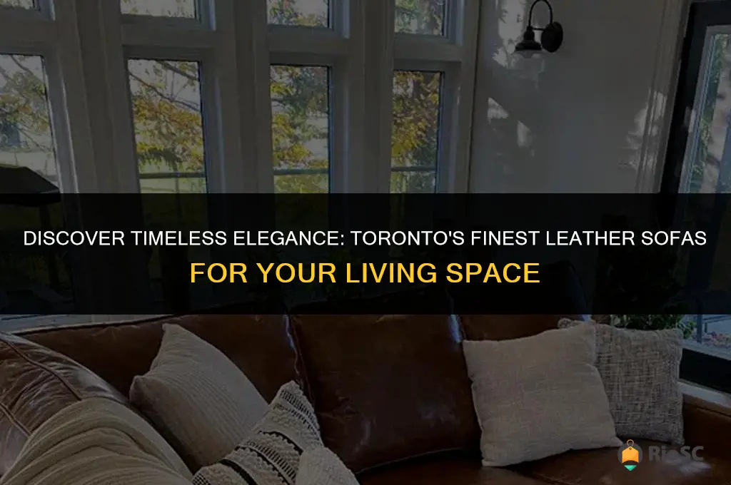 best leather sofas toronto