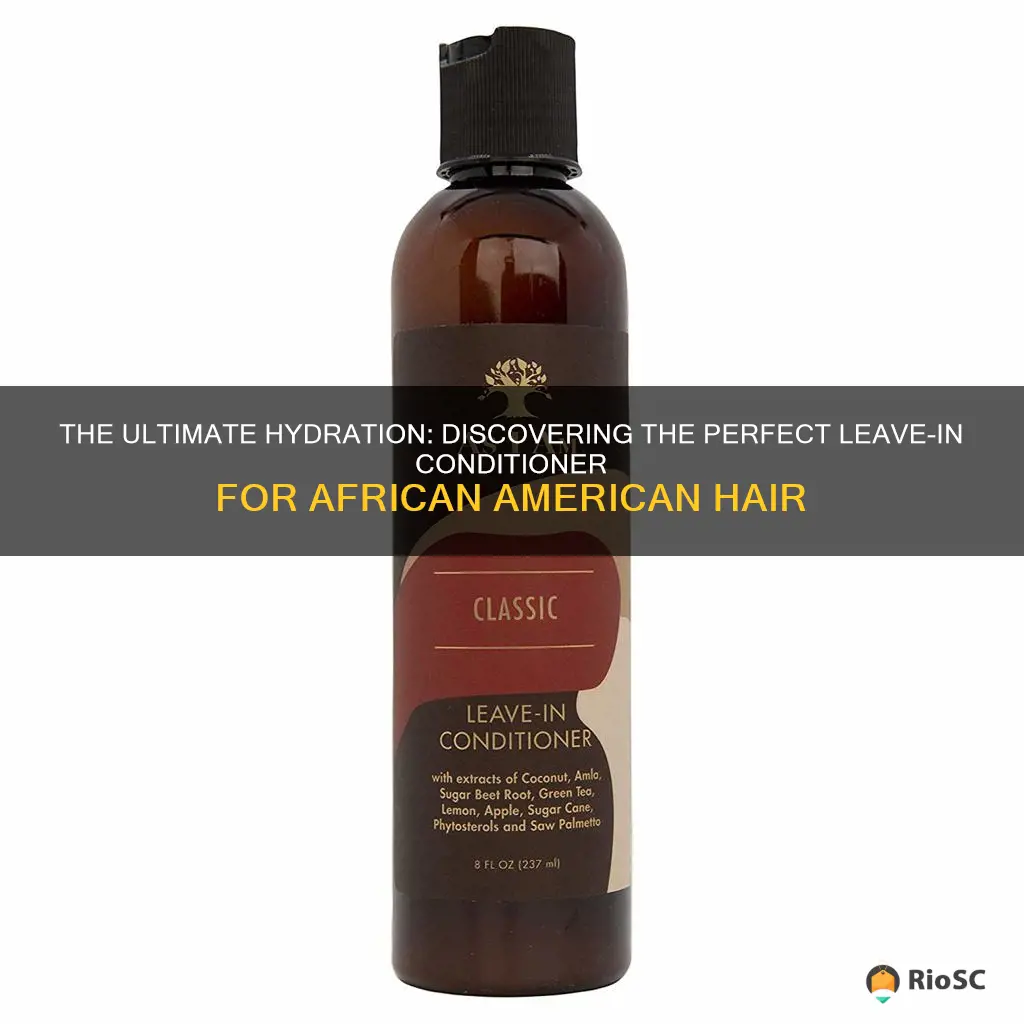 best leave in conditioer for african american hair