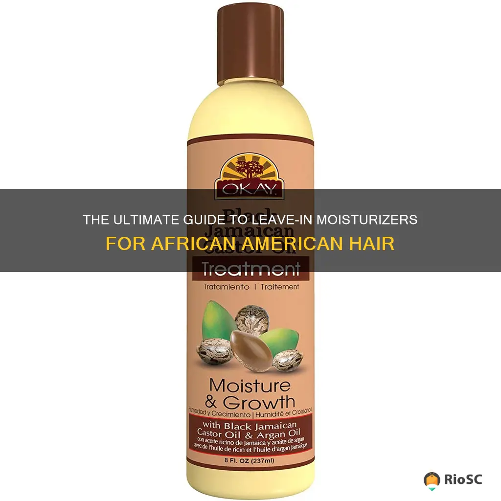 best leave in moisturizer for african american hair