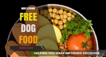 Top Legume-Free Dog Food Options for Optimal Canine Health