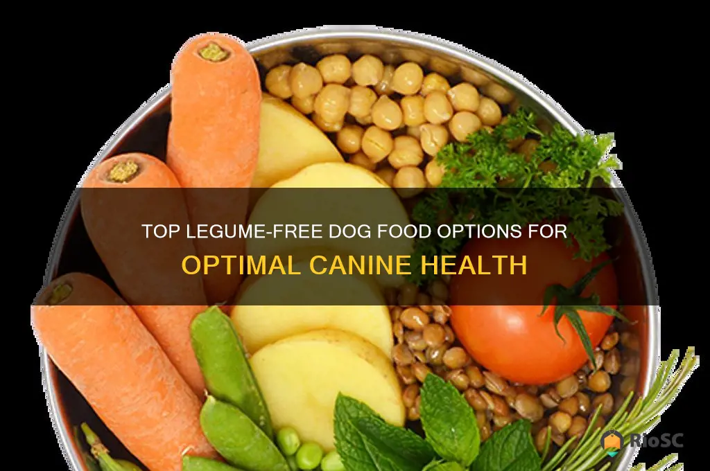 best legume free dog food
