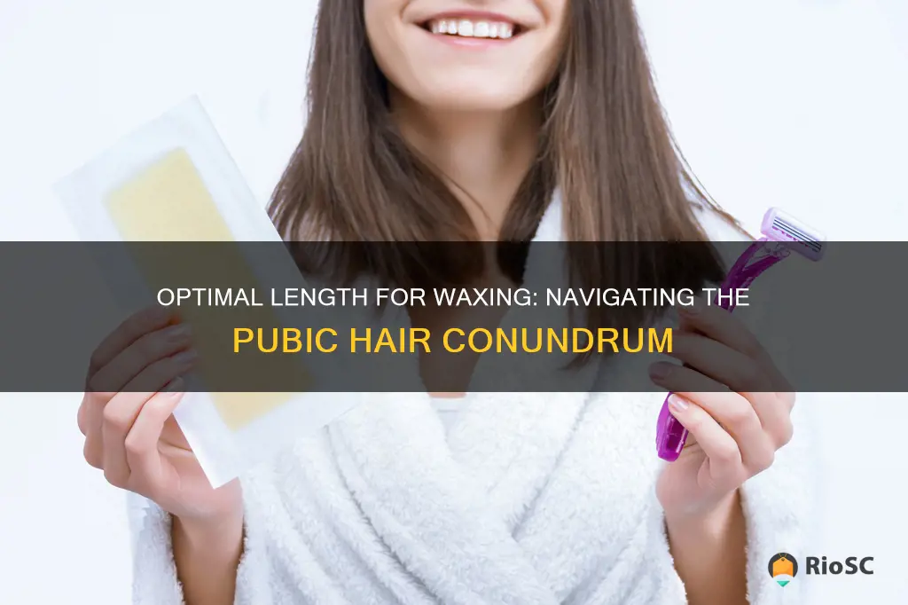 best length for waxing pubic hair