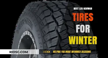 Top Picks: Les Schwab Tires for Winter Driving Excellence
