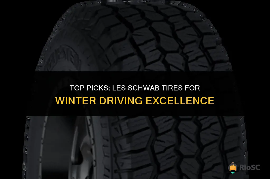 best les schwab tires for winter