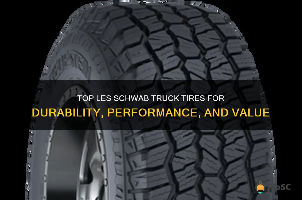 best les schwab truck tires