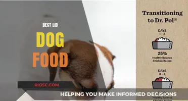 Top Picks for the Best Lid Dog Food: Supporting Your Dog's Digestive Health