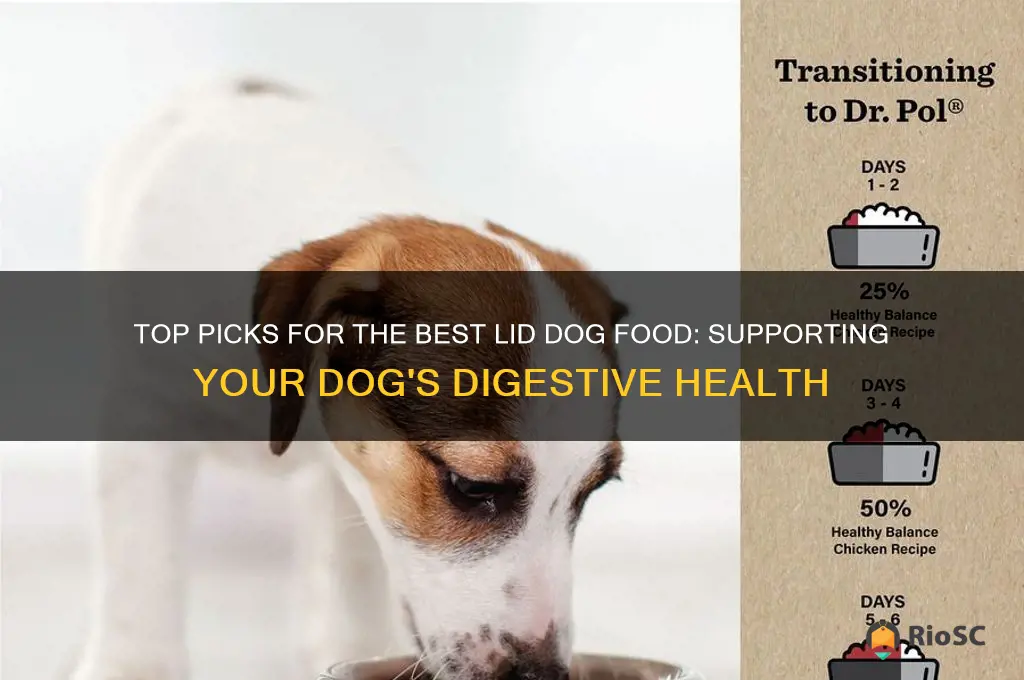 best lid dog food