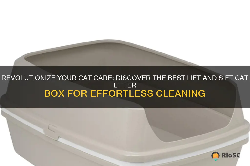 best lift and sift cat litter box