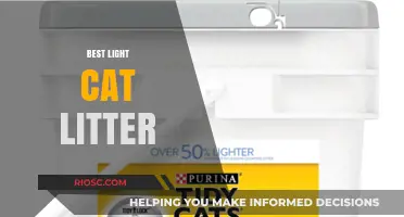 Top Picks for the Best Light Cat Litter: Lightweight, Odor-Control, and Eco-Friendly Options