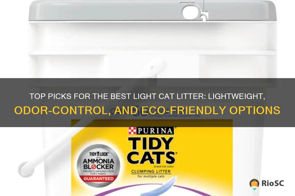 best light cat litter