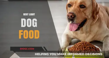 Top Picks for Light Dog Food: Nourishing Your Pup with Healthier Options