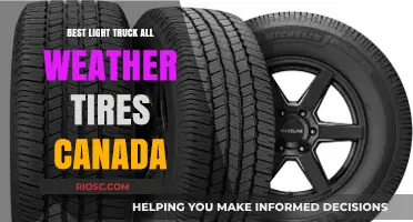 Top All-Weather Light Truck Tires for Canadian Drivers: Performance and Durability in Every Season