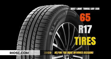 Top-Rated Light Truck SUV Tires: 225 65 R17 Options for Performance and Durability
