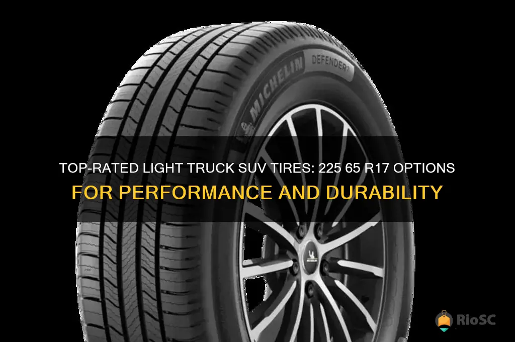 best light truck suv 225 65 r17 tires