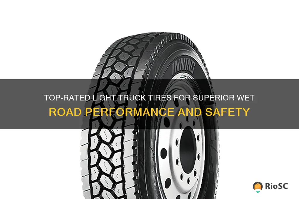 best light truck tires for wet roads