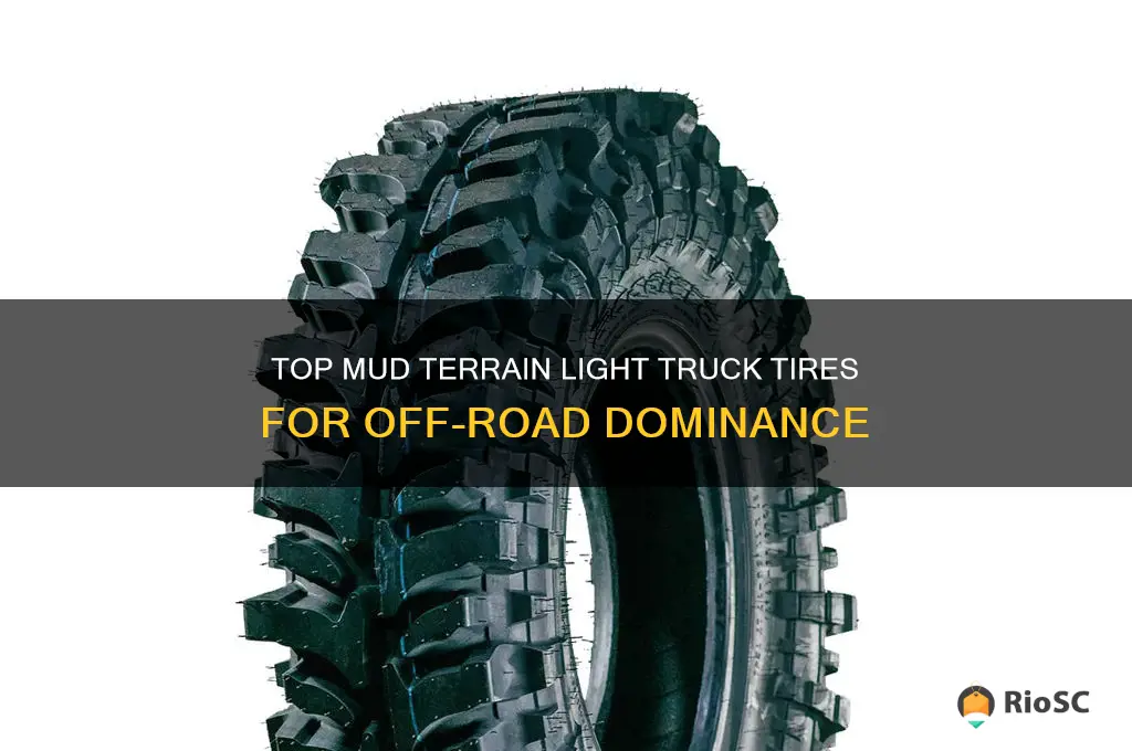 best light truck tires mud terrain