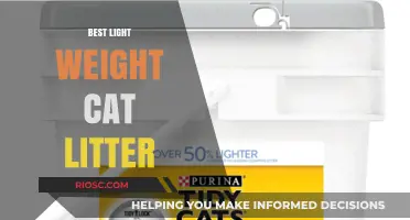 Top Picks for Lightweight Cat Litter: Easy to Carry, Easy to Clean