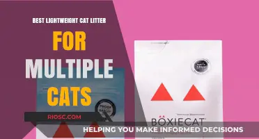 Top Lightweight Cat Litter Options for Multi-Cat Households: Keep Your Home Fresh and Clean