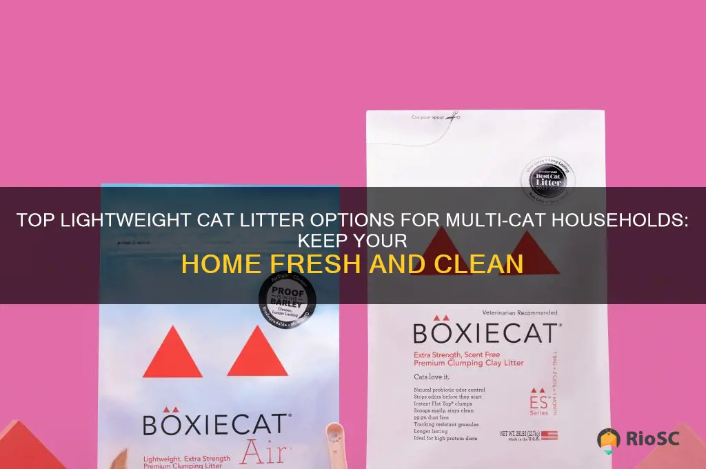 best lightweight cat litter for multiple cats