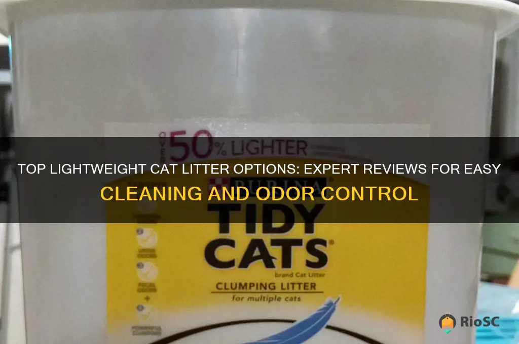 best lightweight cat litter reviews