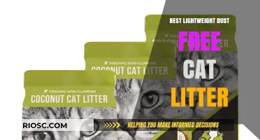 Top Lightweight, Dust-Free Cat Litter Options for a Cleaner, Healthier Home