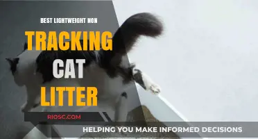 Top Picks for Lightweight, Non-Tracking Cat Litter: Keep Your Home Clean and Your Cat Happy