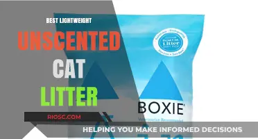 Top Picks for Lightweight, Unscented Cat Litter: Keep Your Home Fresh and Your Cat Happy