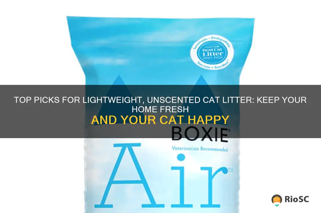 best lightweight unscented cat litter