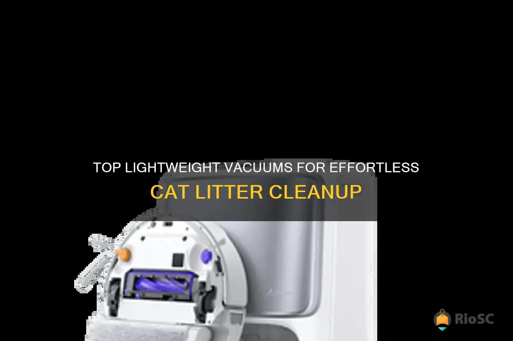 best lightweight vacuum for cat litter