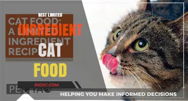 Simplifying Feline Nutrition: Top Picks for the Best Limited Ingredient Cat Food