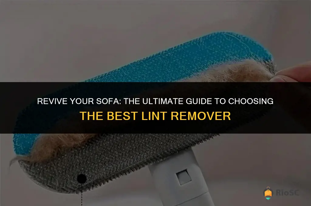 best lint remover for sofa