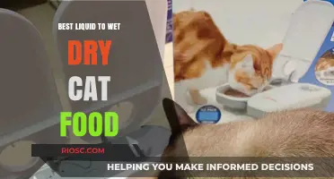 Revitalize Your Feline's Feast: The Ultimate Guide to Wetting Dry Cat Food