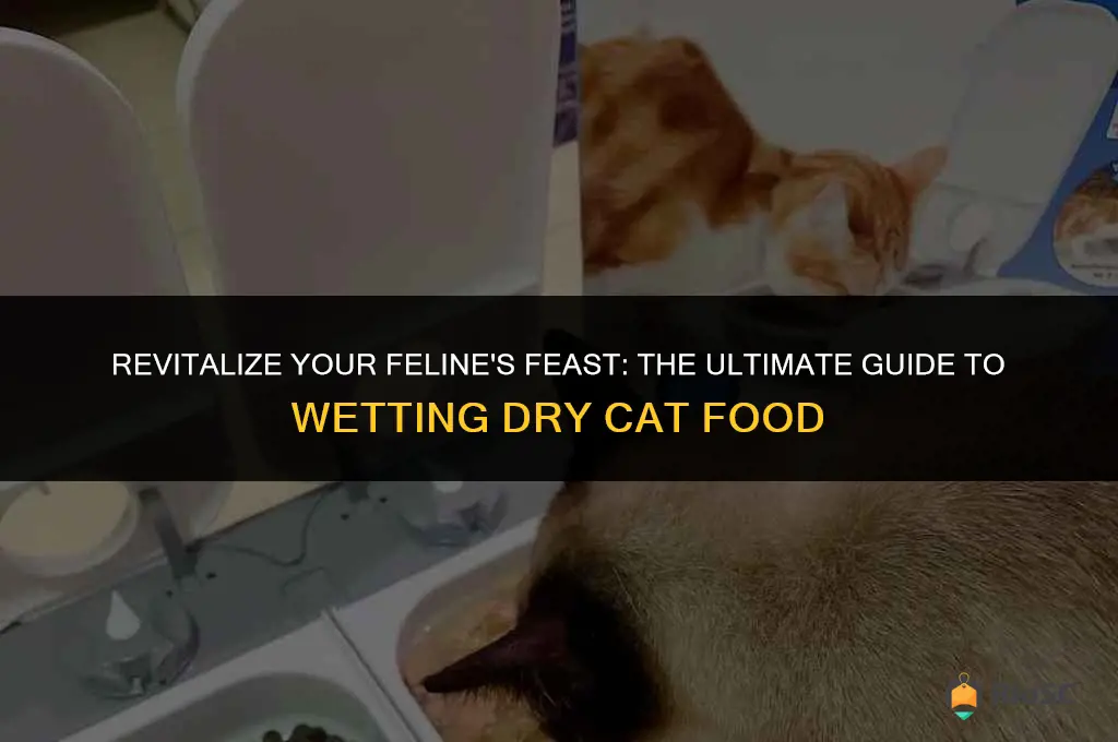 best liquid to wet dry cat food